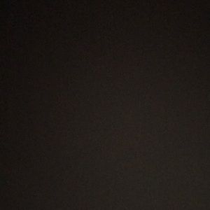 Meet your Posher, Peyton